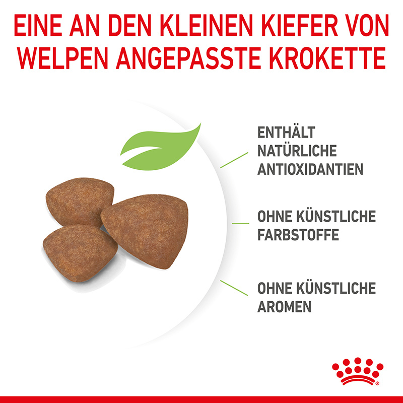 ROYAL CANIN Hundetrockenfutter ROYAL CANIN Mini Puppy 2 kg