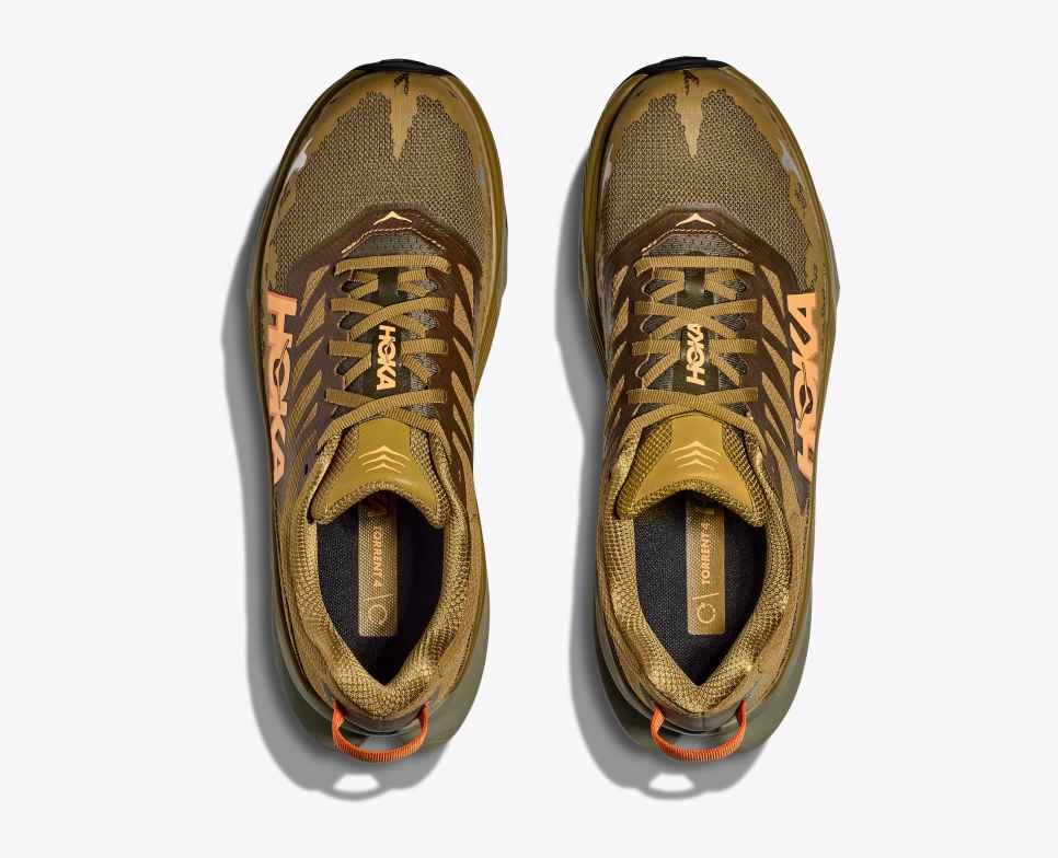 Torrent 4 Honey / Antique Olive