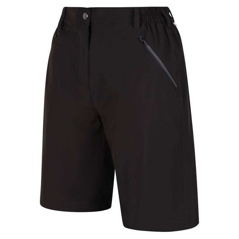 Regatta Xert It Shorts Damen