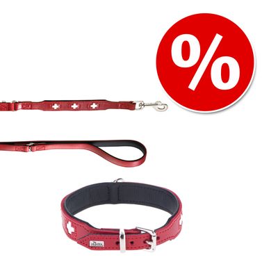 HUNTER Set: Halsband Swiss + Hundeleine Swiss