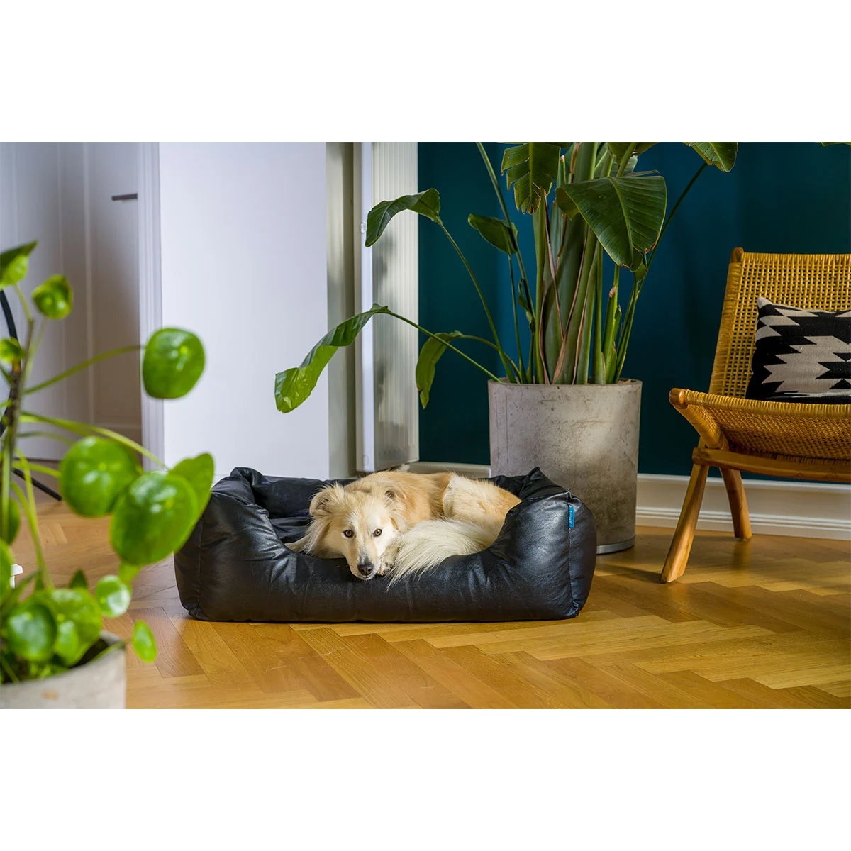 ZooRoyal Hundebett Deluxe günstig kaufen