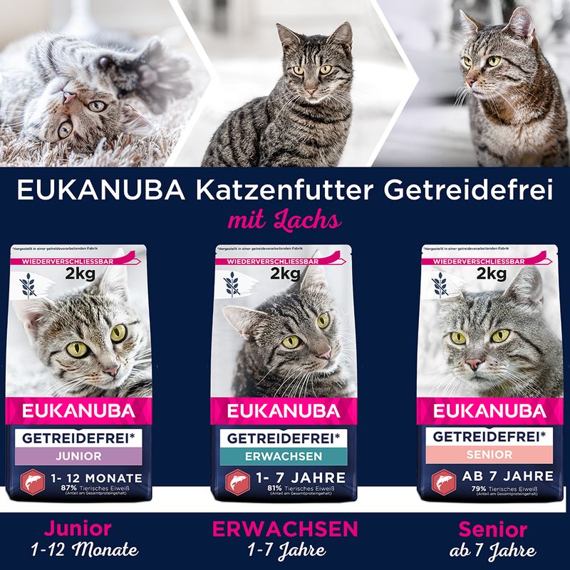 Eukanuba Senior Grain Free Reich an Lachs zu TOP-Preisen | bitiba