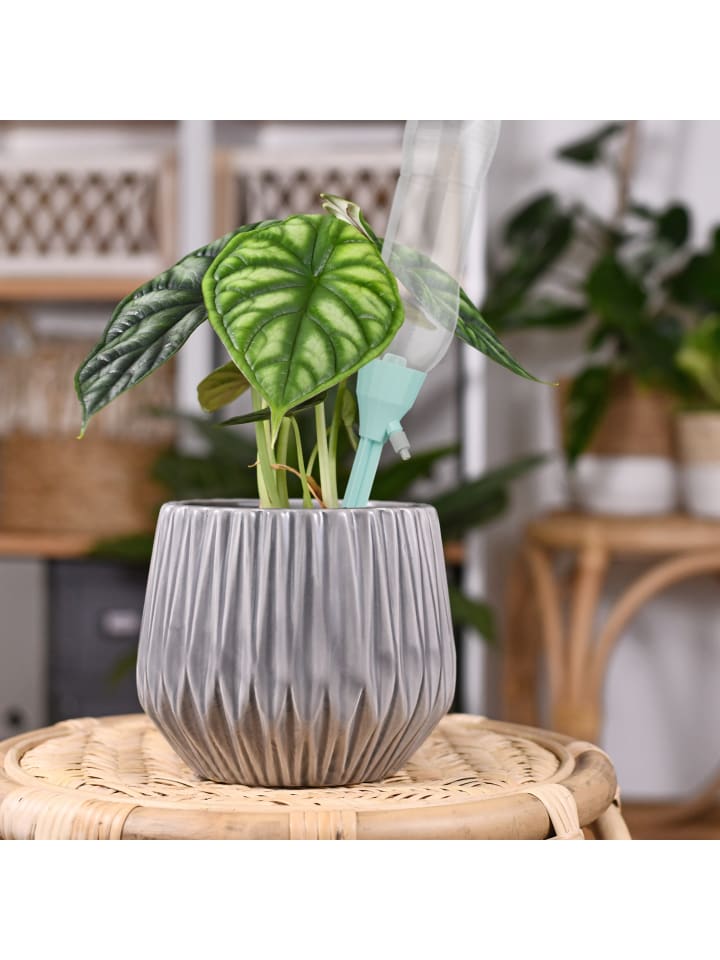 relaxdays 12-teiliges Bewässerungssystem in Grau/ Mint günstig kaufen onesize