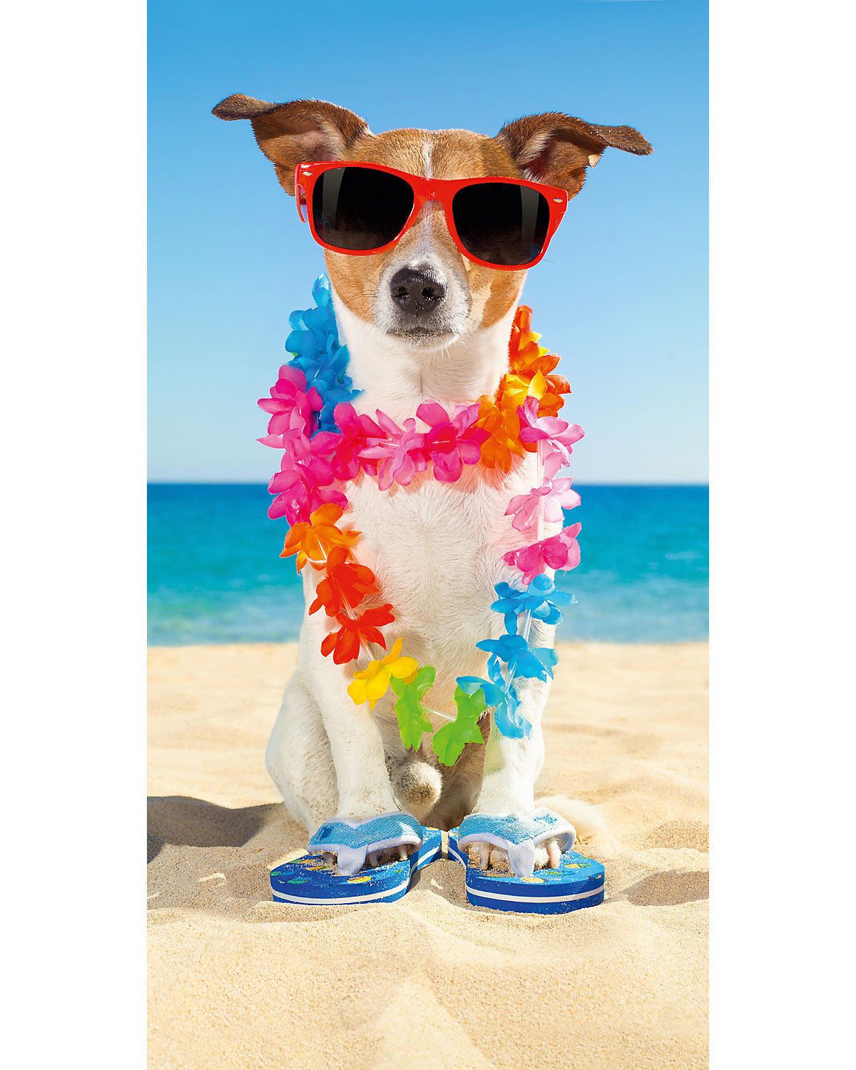 Strand- & Badetuch Buddy no.2090, 75x150cm multi