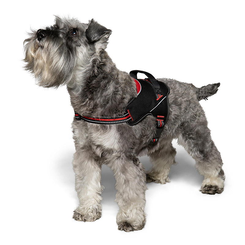 Zoozaker Hundesele 35 cm, m/håndtak