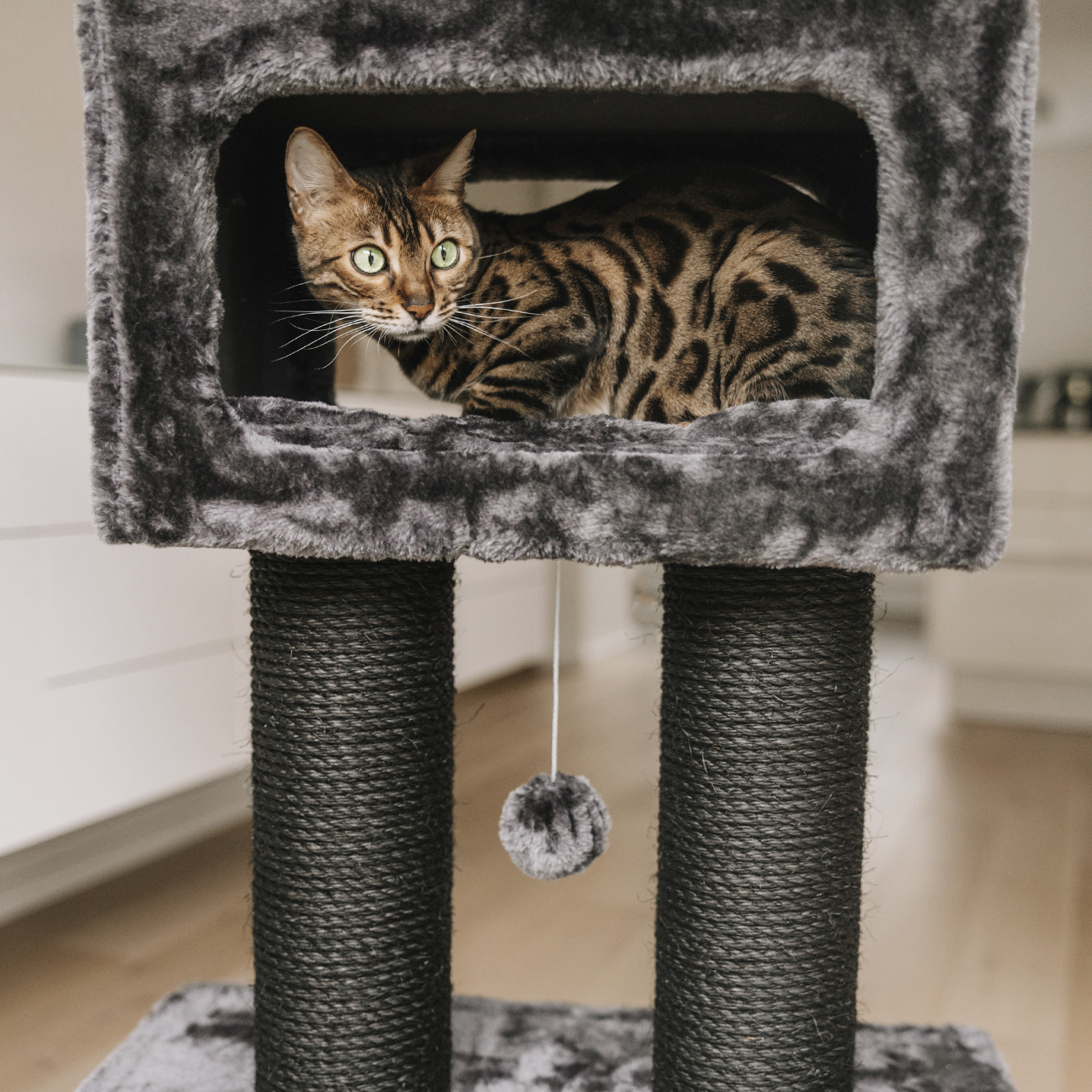 Canadian Cat Company Kratzbäume Canadian Cat Company Kratzbaum Columbia anthrazit