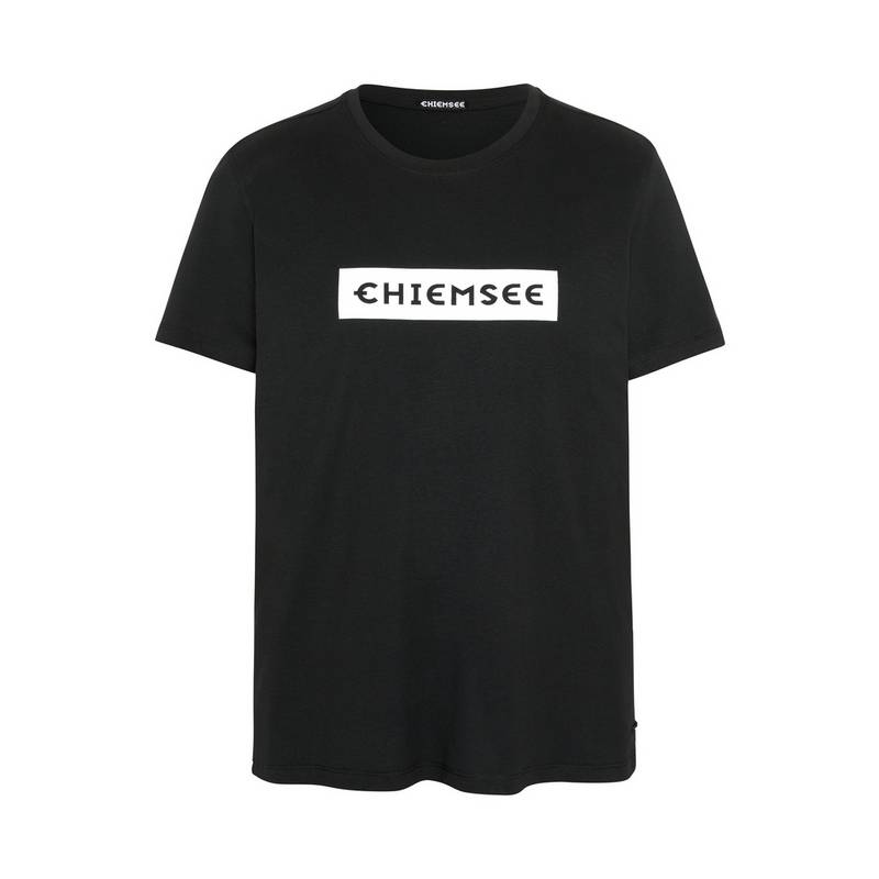 Chiemsee T-Shirt T-Shirt Herren