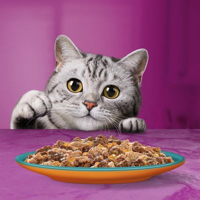 Jumbopack WHISKAS DUO Portionsbeutel 96 x 85 g