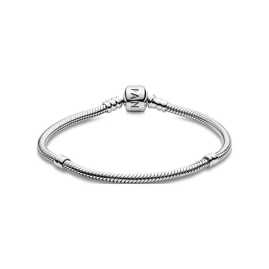 Pandora Armband Moments