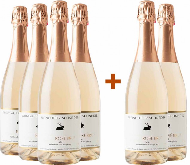 4+2 2019 Rosé Sekt brut - Weingut Dr. Schneider