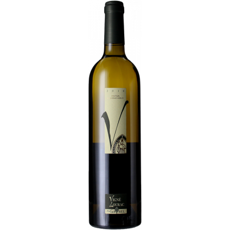 FINCTUM IN QUERCEIS DOLIIS 2019 - V DE VIGNÉ-LOURAC