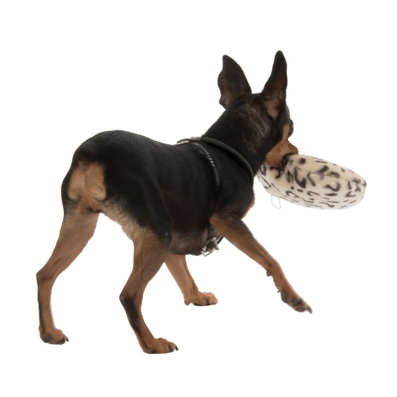 Hundespielzeug Dotti aus Plüsch zu TOP-Preisen % bei bitiba.de