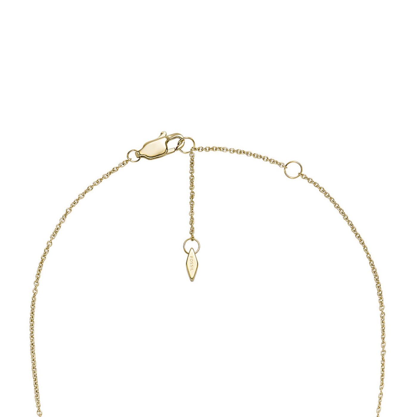 Fossil Chains
