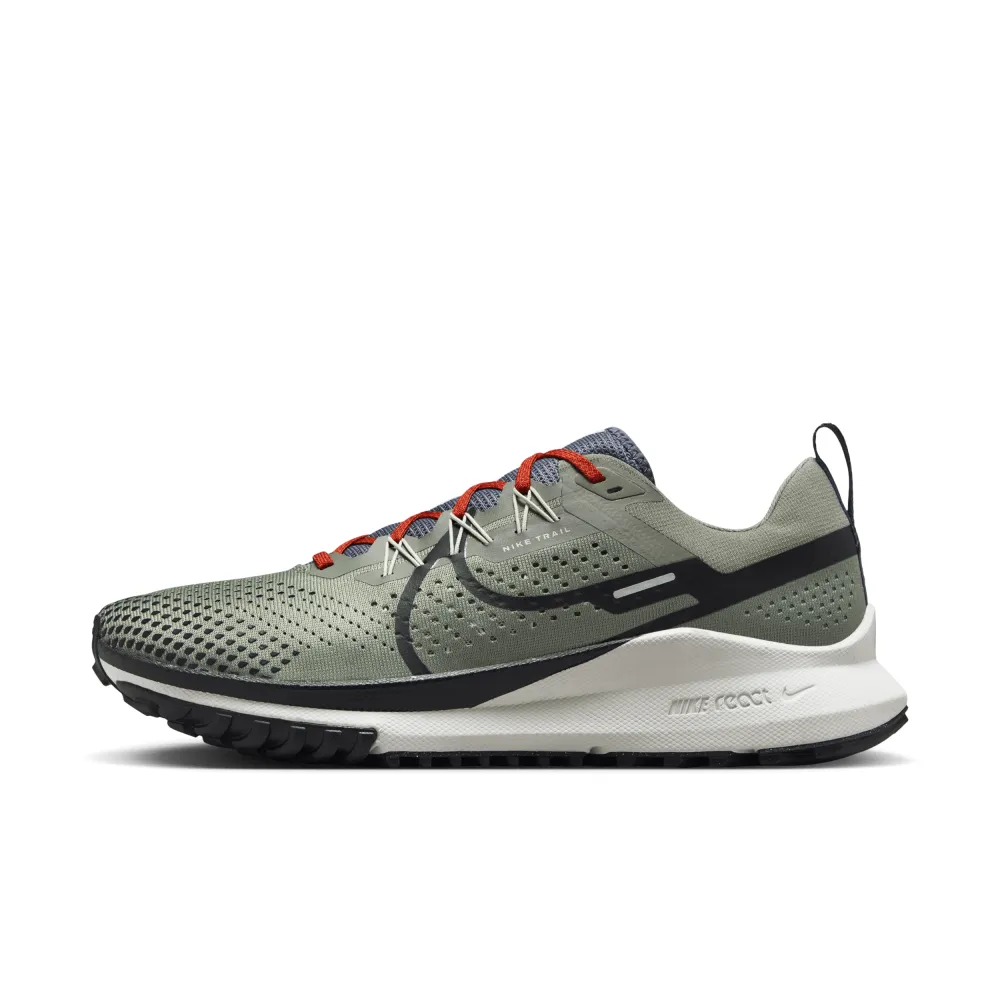 Nike Pegasus Trail 4 DJ6158-007 / grau