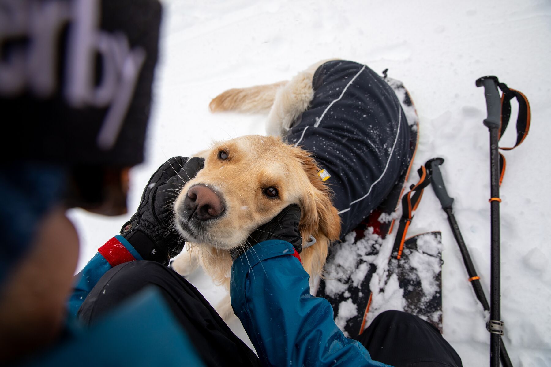Ruffwear Hundemäntel Ruffwear Cloud Chaser™ Hundejacke schwarz S