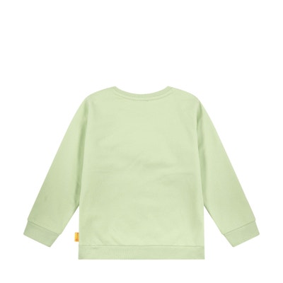 Sweatshirt, hellgrün für Jungs
