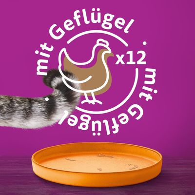 Whiskas 1+ Dosen 24 x 400 g