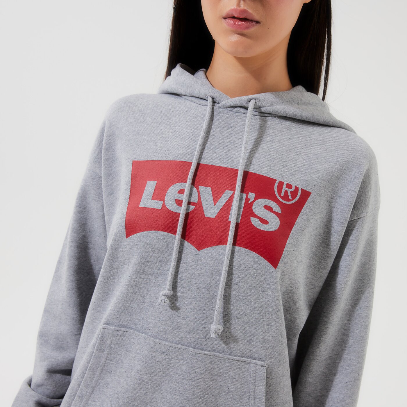 LEVI'S HOODIE GRAPHIC STANDARD HOODIE Grau
