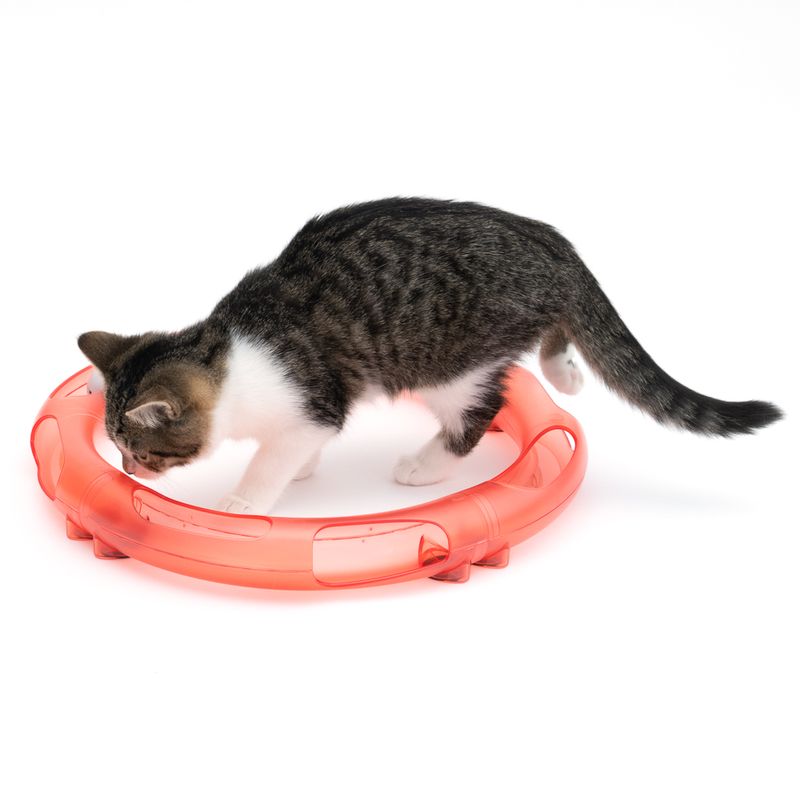 TIAKI Kugelbahn Roundabout für Katzen zu TOP-Preisen | bitiba %