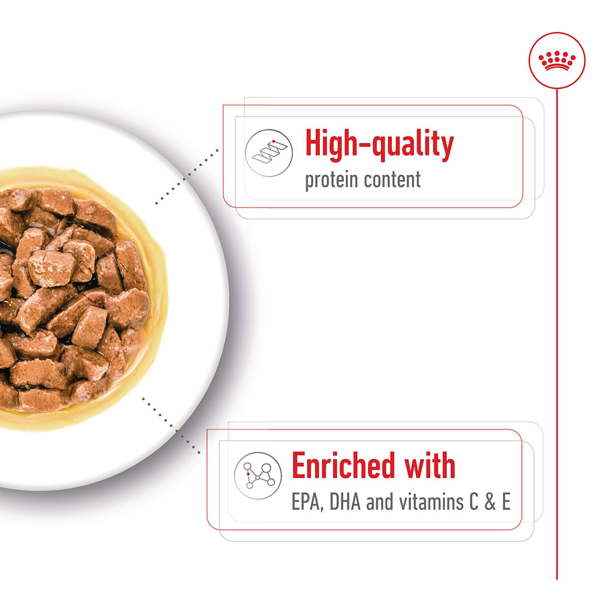 Royal Canin SHN Medium Ageing Gravy günstig kaufen bei ZooRoyal