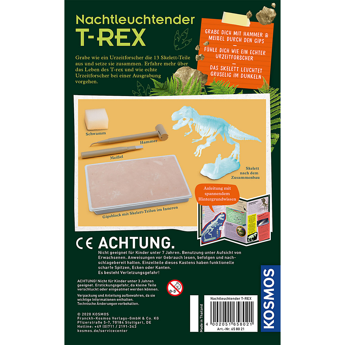 Nachtleuchtender T-REX