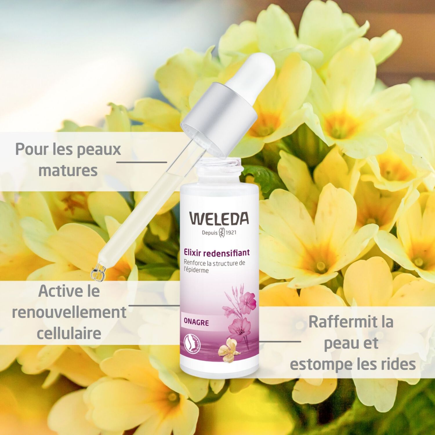 Weleda Onagre Elixir Redensifiant - Peaux Matures - Flacon Pipette en Verre 30 ml