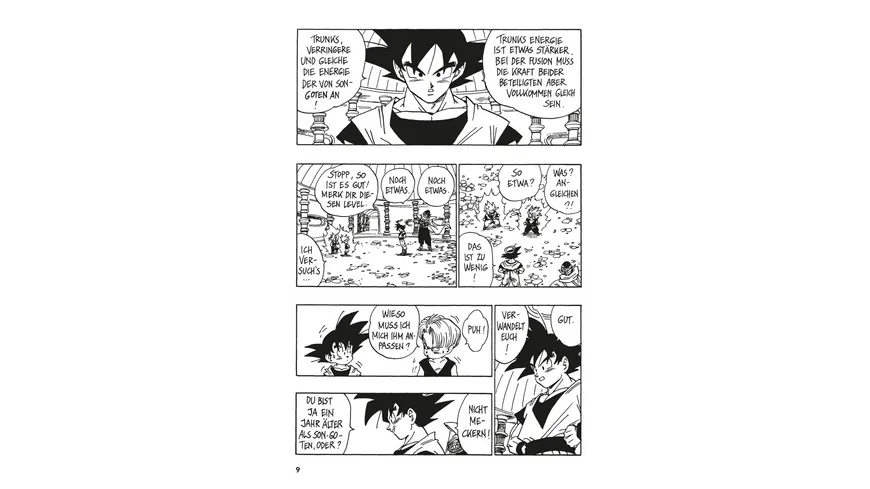 Dragon Ball Massiv 14