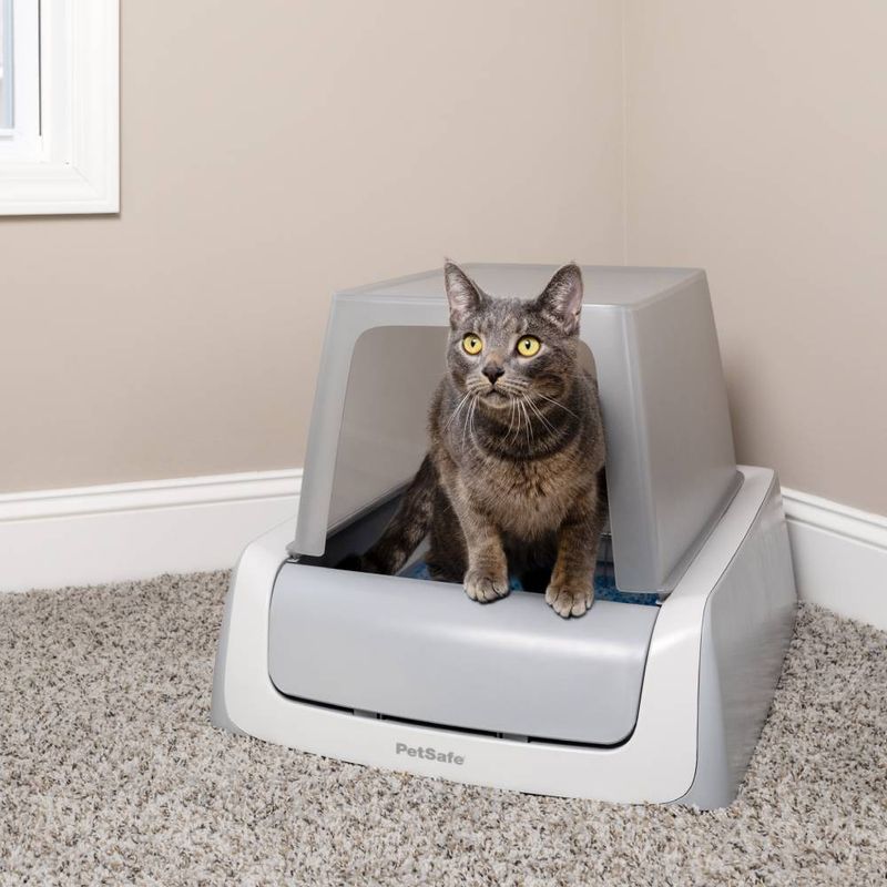 PetSafe ScoopFree Ultra zu TOP-Preisen