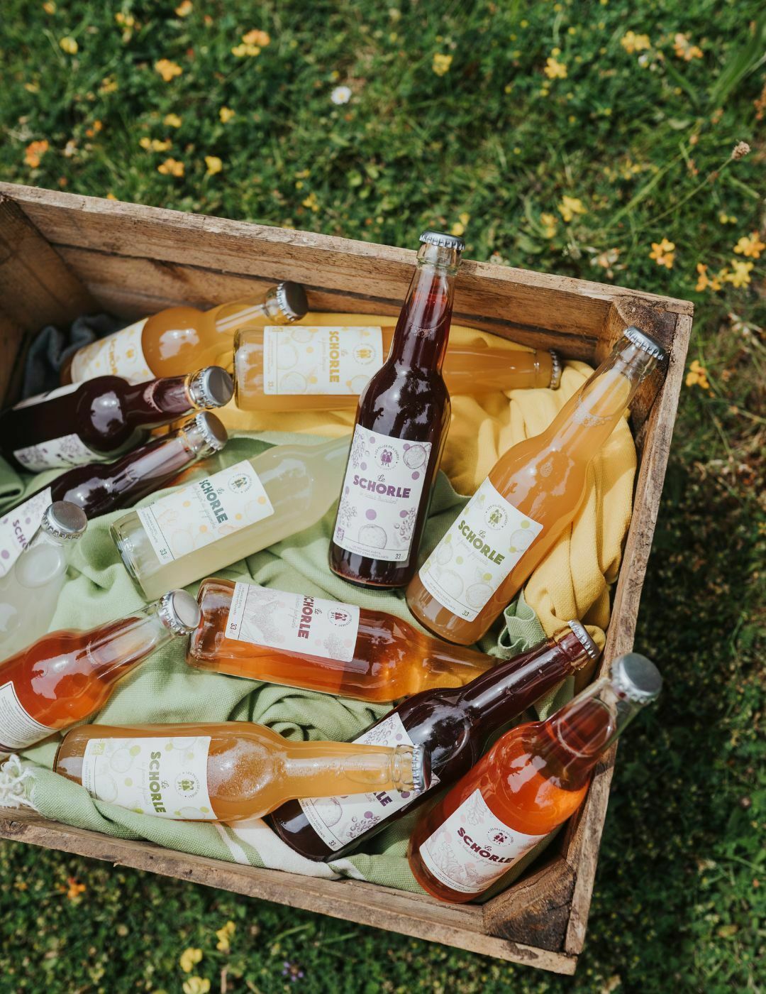 Les Filles de l'Ouest : Le Schorle Cassis Truculent - Gueule de joie 0° |  33 cl