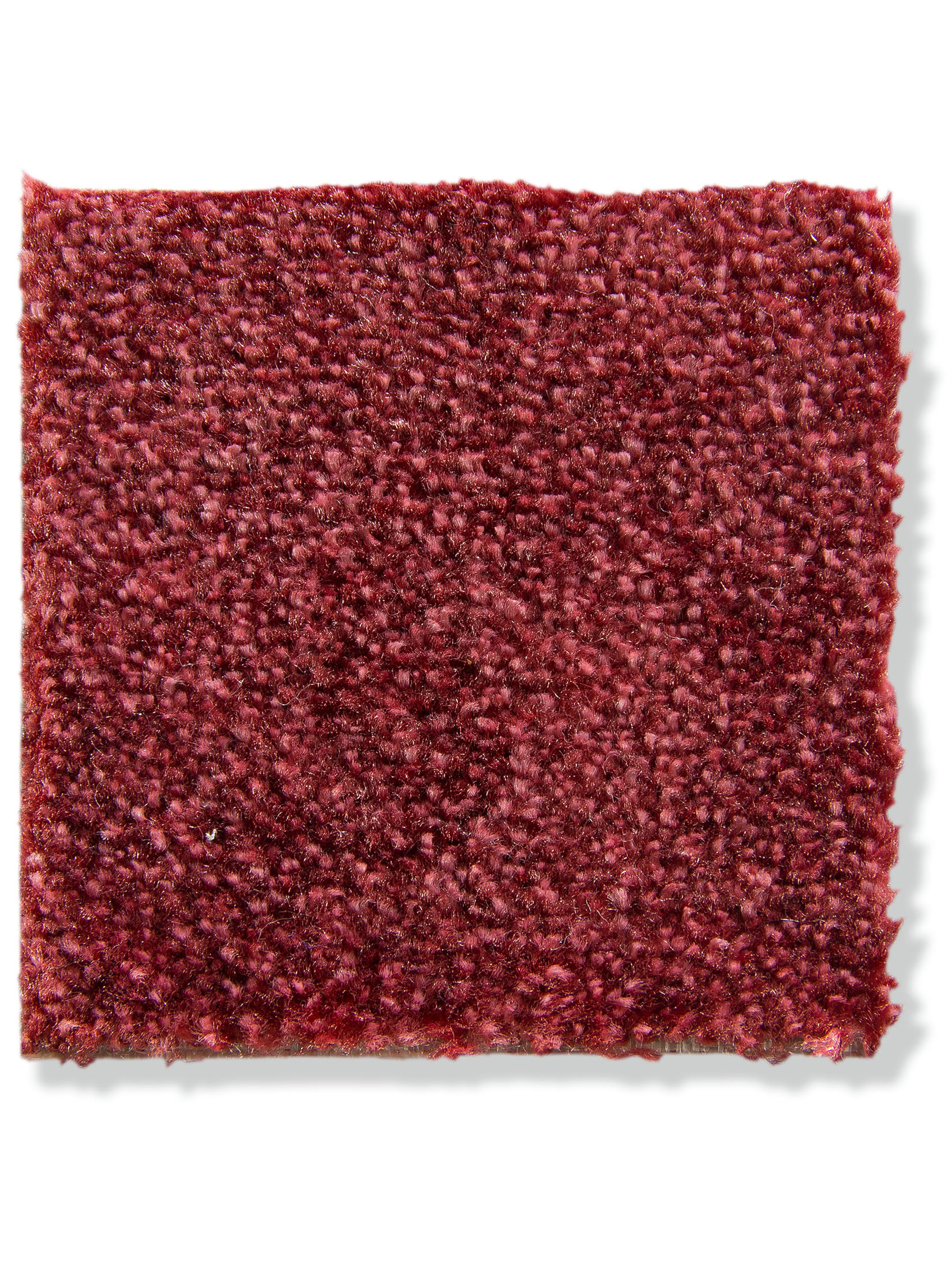 Siena Velours-Teppichboden, Beere 16
