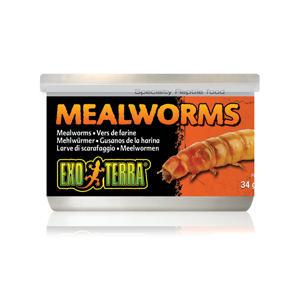 Exo Terra Reptilienfutter Mehlwürmer 34g kaufen