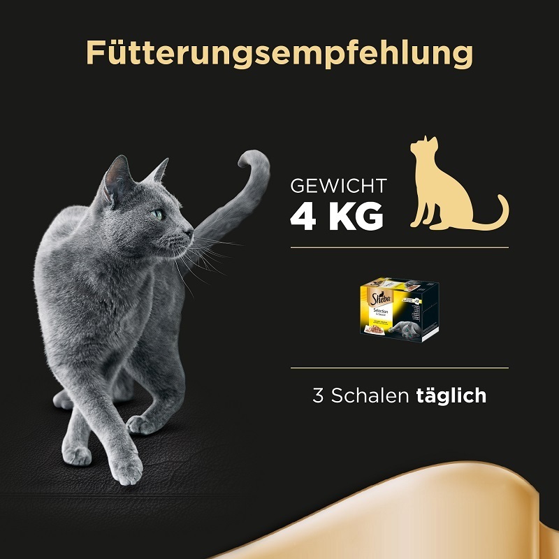Sheba Nassfutter Sheba Selection in Sauce 12x85g