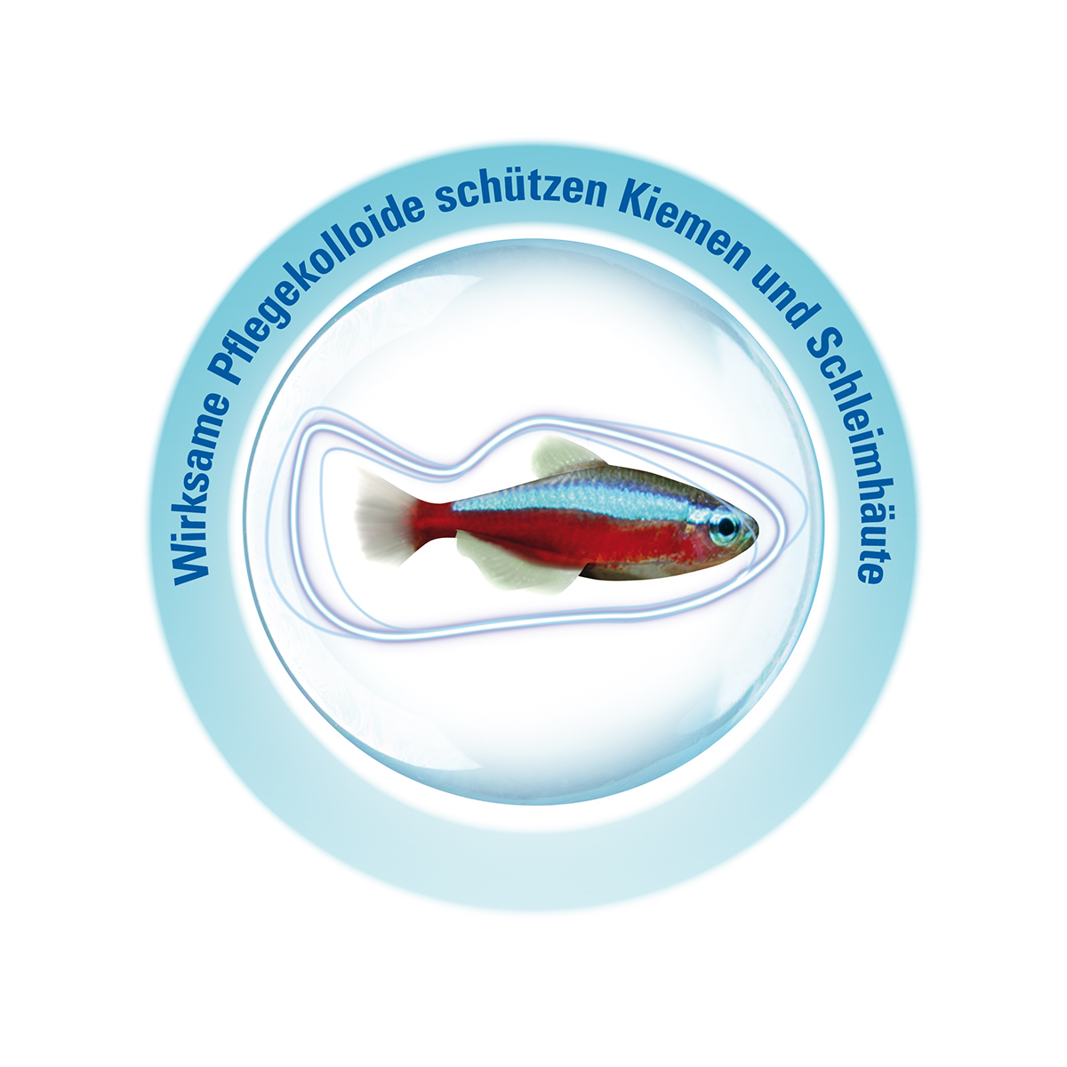 Tetra Wasseraufbereiter AquaSafe günstig kaufen