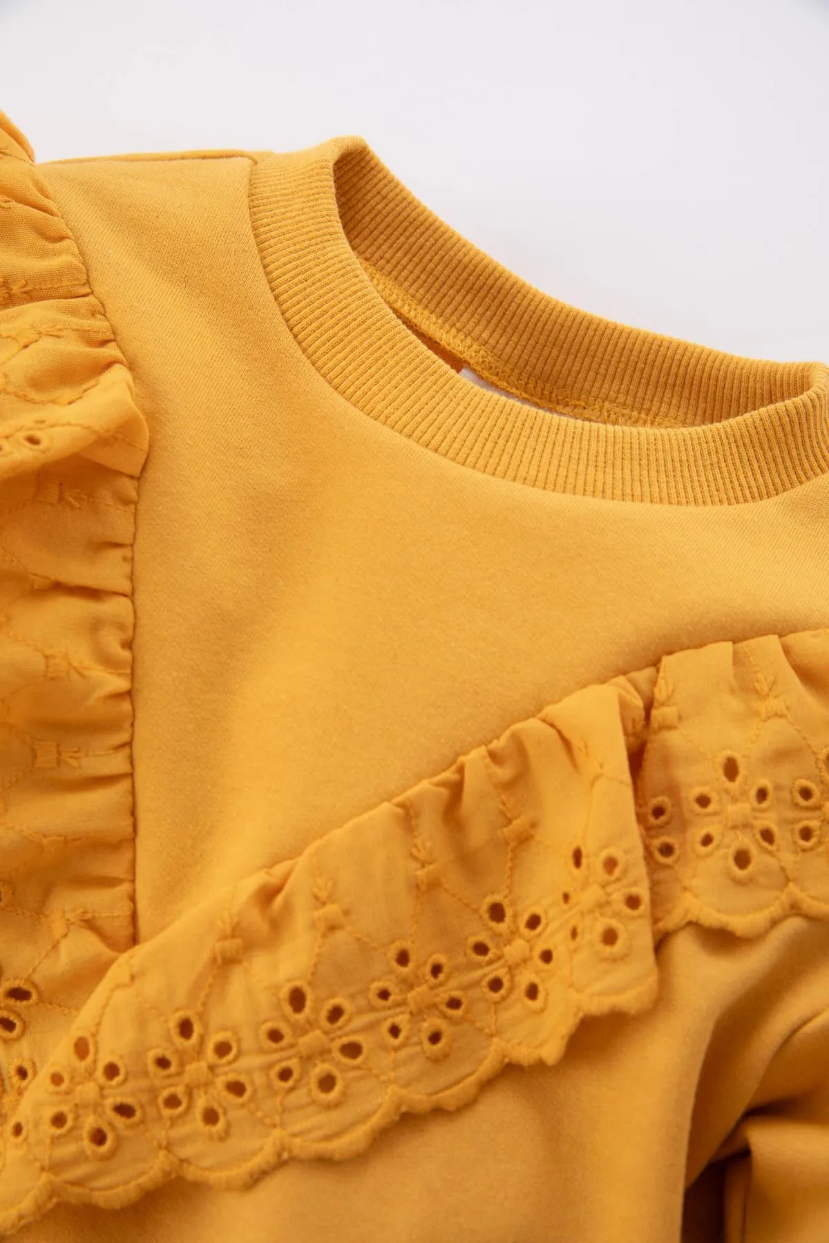 DeFacto  Normal geschnittenes, dünnes Sweatshirt-Sweatshirt mit Rundhalsausschnitt für Babys und Mädchen