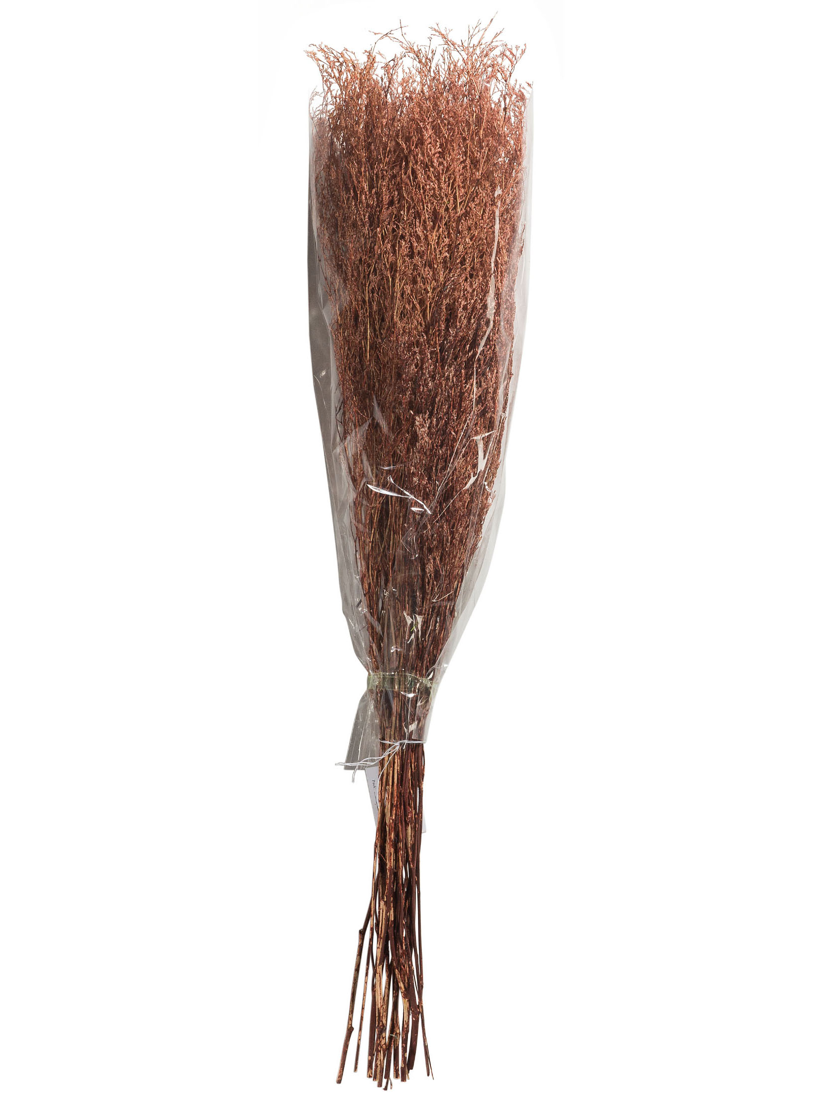 Strandflieder Trockenblume, Autumn Red