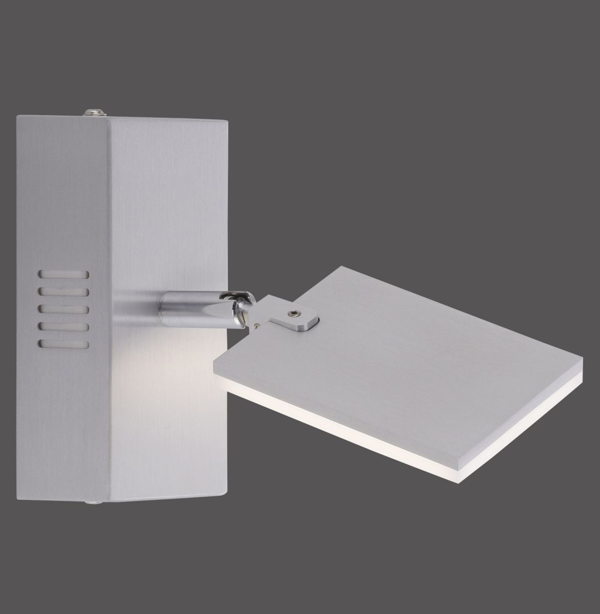 Paul Neuhaus 1-flg LED Spot Pure-Mira Aluminium