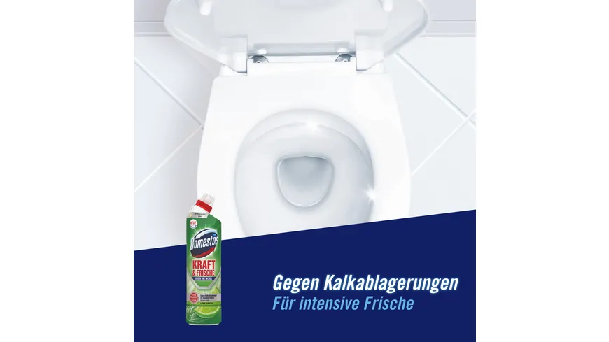 Domestos WC Gel Lime Fresh 0.75 l