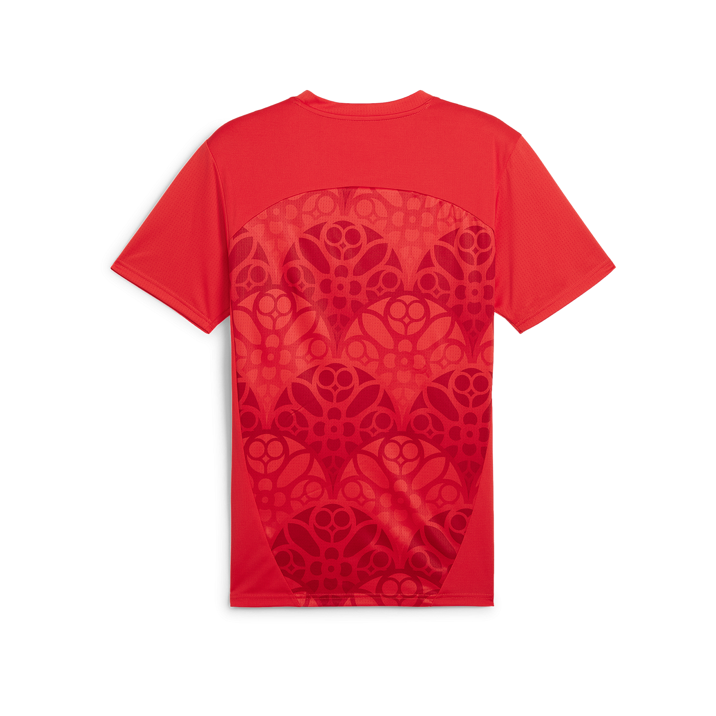 PUMA RB Leipzig Prematch Shirt 2024/2025 Rot F04