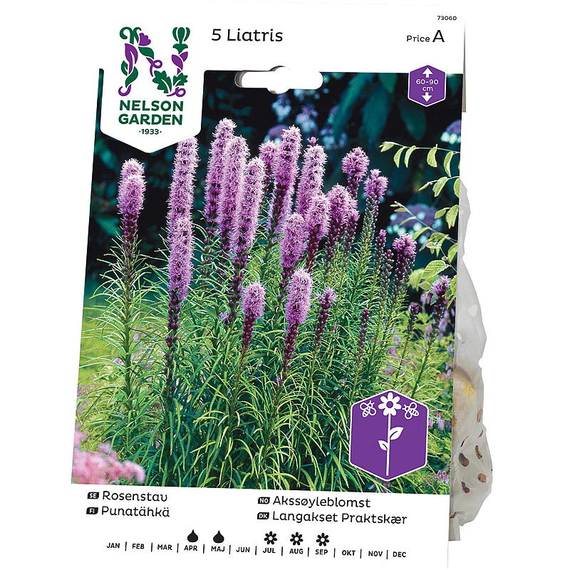 Nelson garden Akssøyleblomst Liatris spicata, lilla