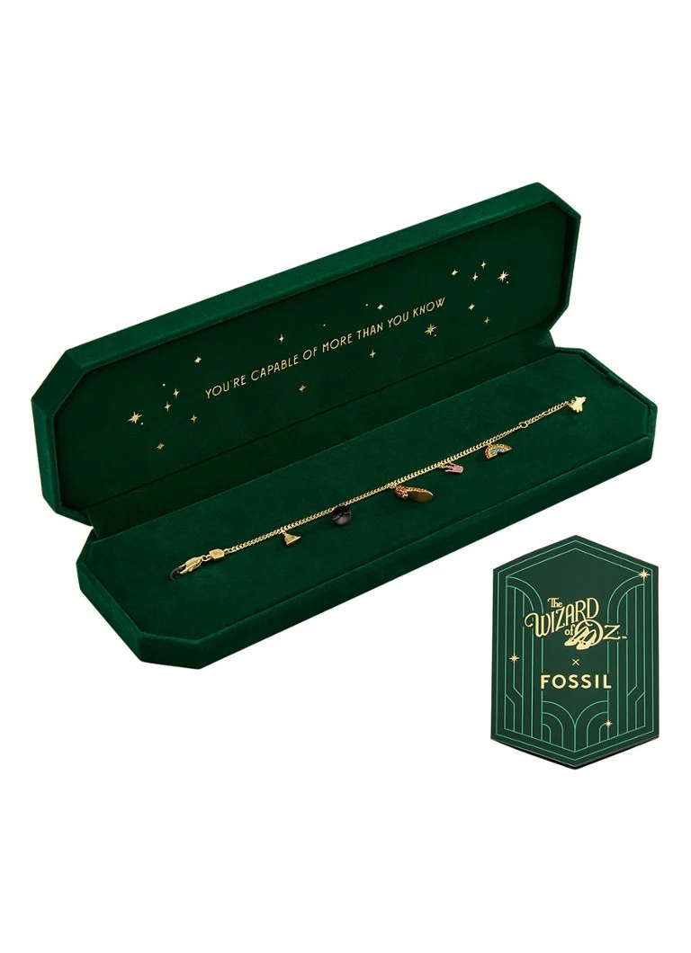 Fossil Bracelet with charms JFC04828998