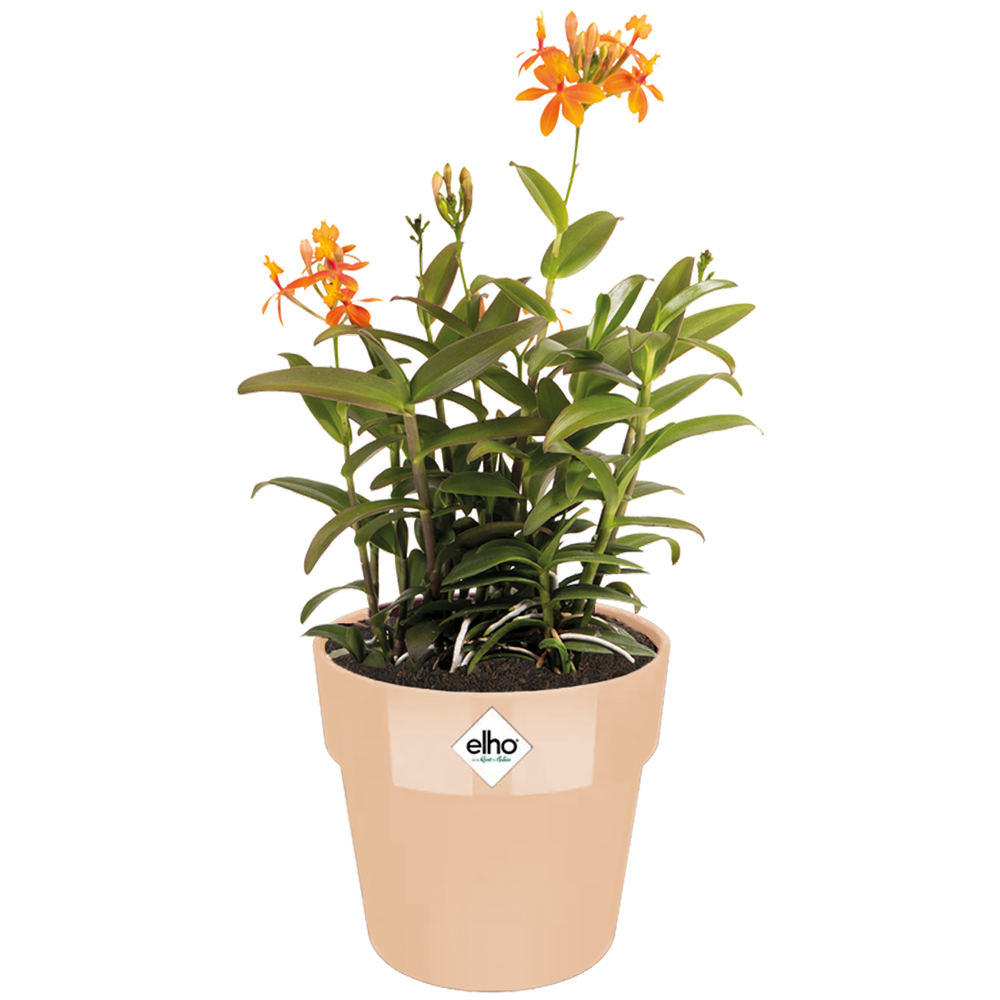 Casaria Deuba® Blumentopf Nude 18x17cm 2,9L
