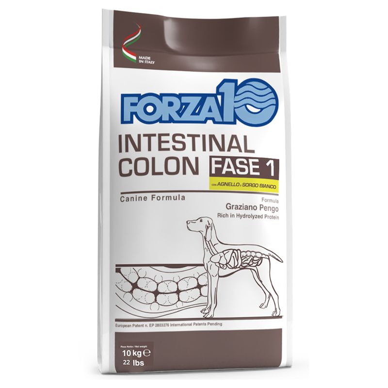 Forza 10 Intestinal Colon Phase 1 mit Lamm