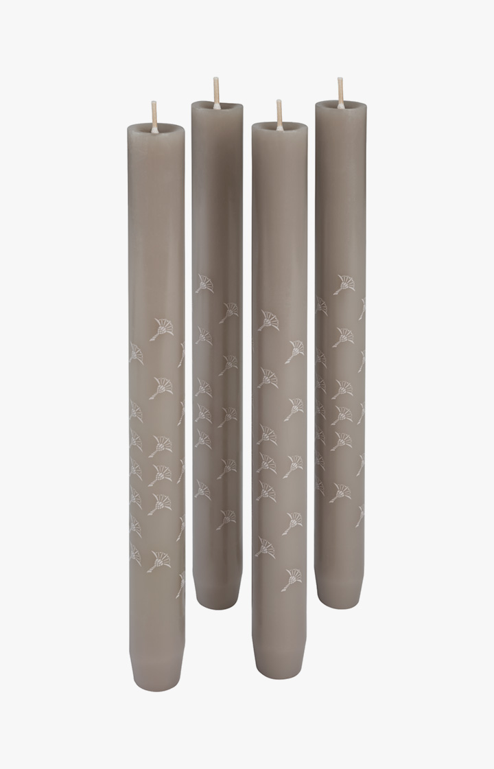 JOOP! FADED CORNFLOWER Stabkerze in Kiesel, 4er Set - im JOOP!