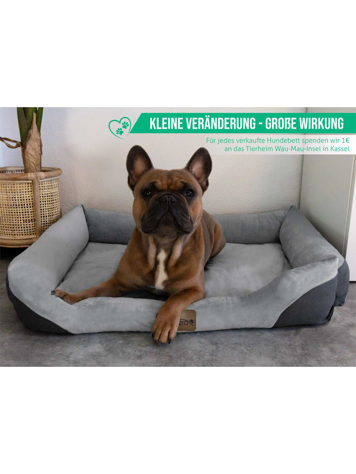 Aspero Hundebett Hanko in Grau günstig kaufen