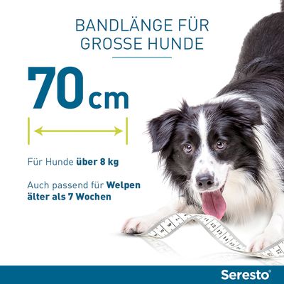Seresto® Halsband Hund
