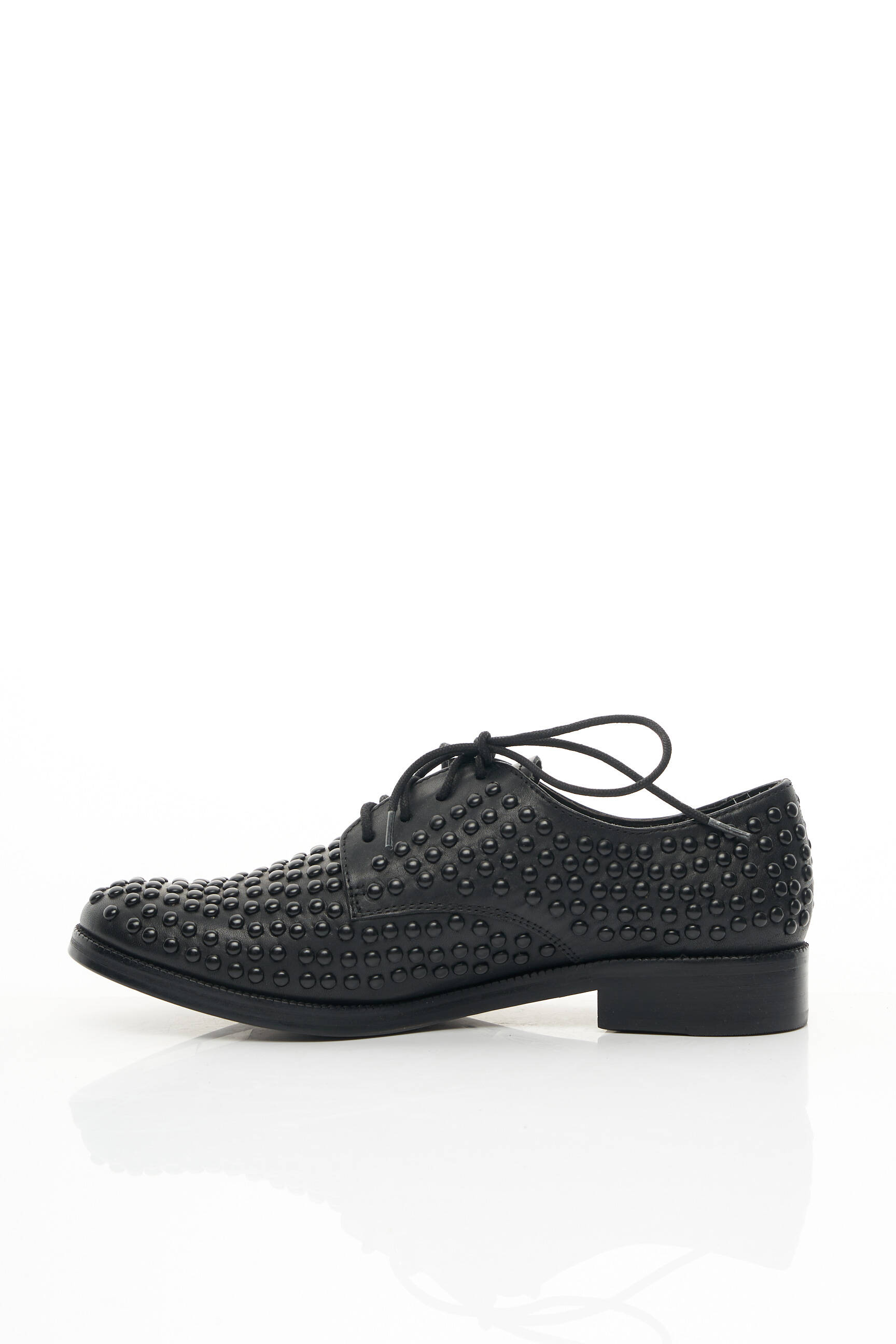 Ash Derby Femme couleur noir