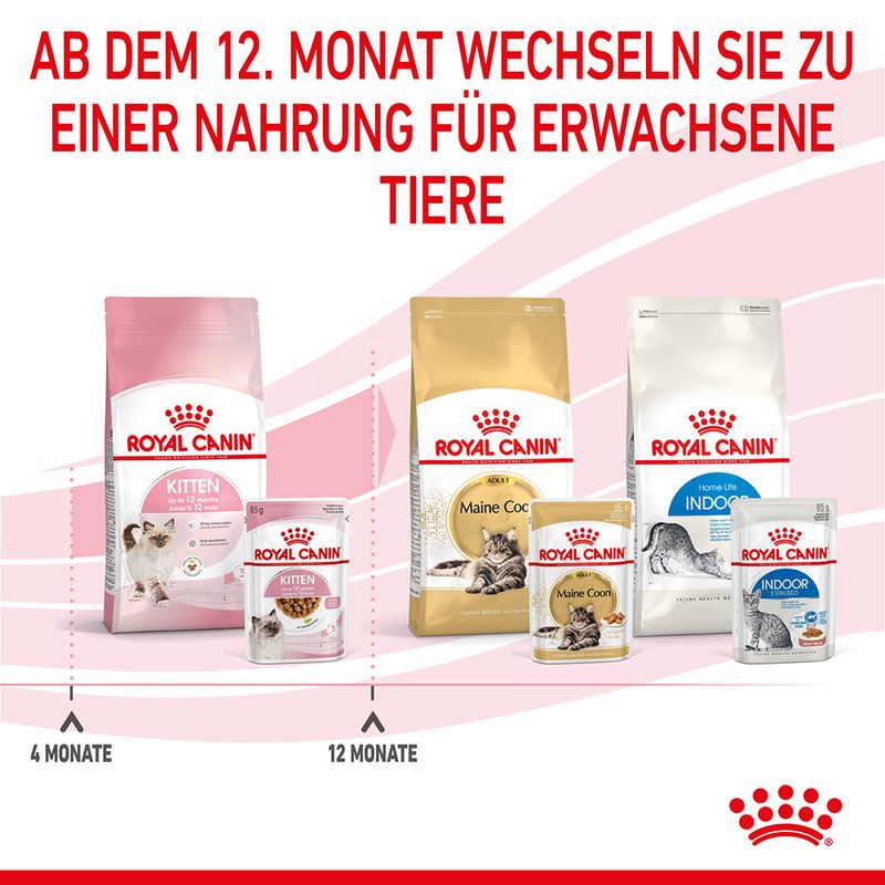 Royal Canin Kitten in Soße zu TOP-Preisen