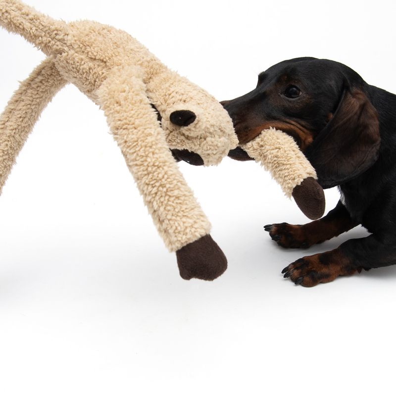 Hundespielzeug King Louiiie zu TOP-Preisen