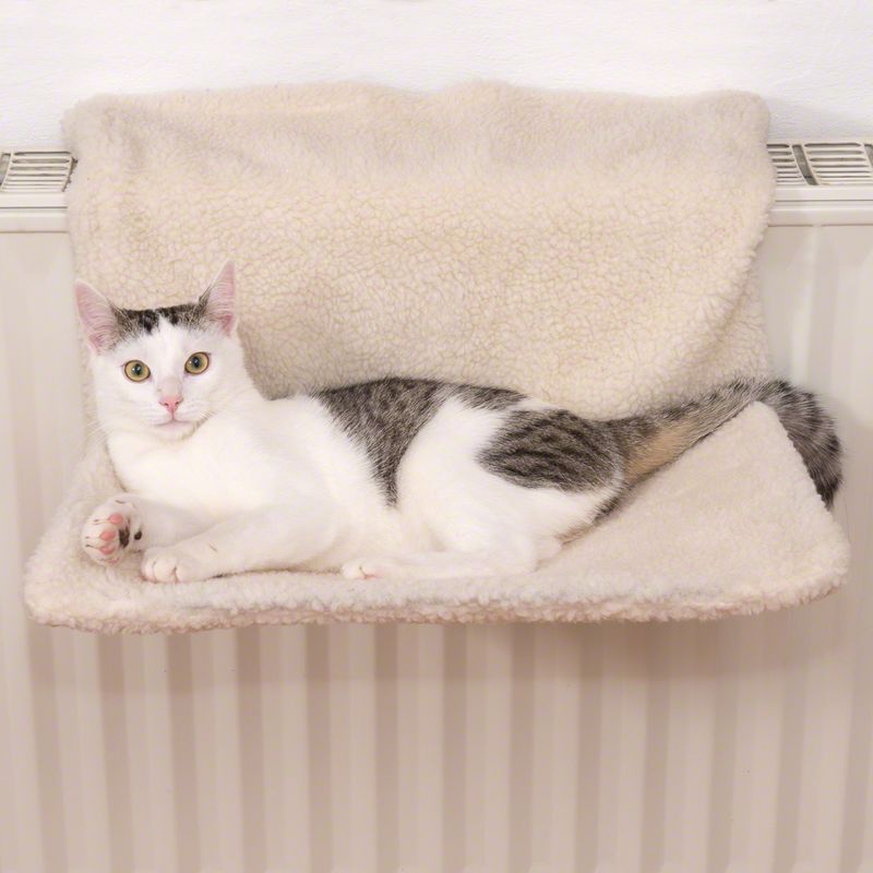 Heizungsliege Relax zu TOP-Preisen