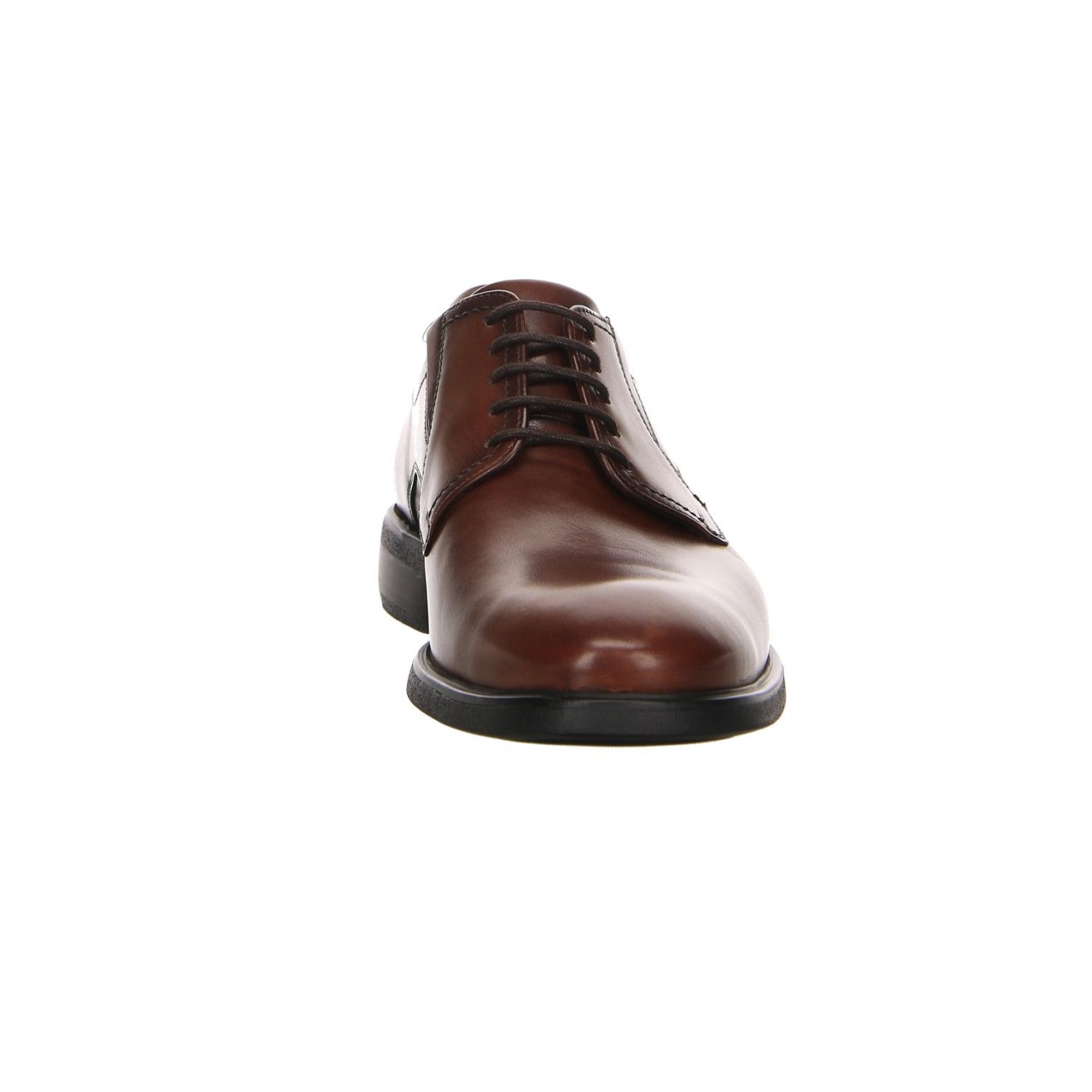 LLOYD Sneaker braun KENTUCKY